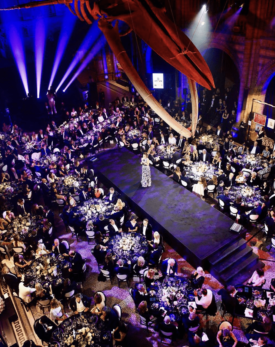 Gala, Natural History Museum, 2021